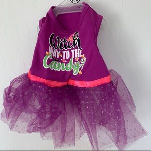 Witch Way To The Candy Dog Outfit